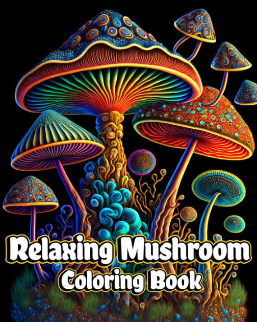 Coloring Books for Adults Relaxation: Beautiful Garden Designs: Garden Coloring  Book For Adults Secret Patterns for Relaxation, Magical, Fun, and Stre  (Paperback)