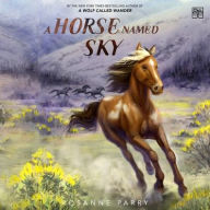 Title: A Horse Named Sky, Author: Rosanne Parry