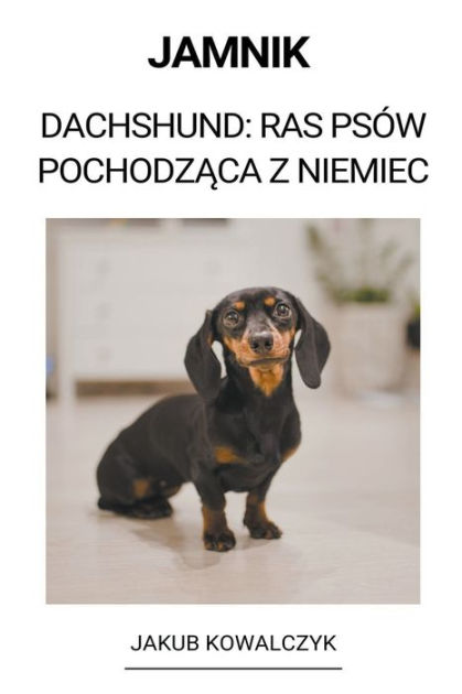 Jamnik Dachshund Ras Psów Pochodzaca z Niemiec by Jakub Kowalczyk