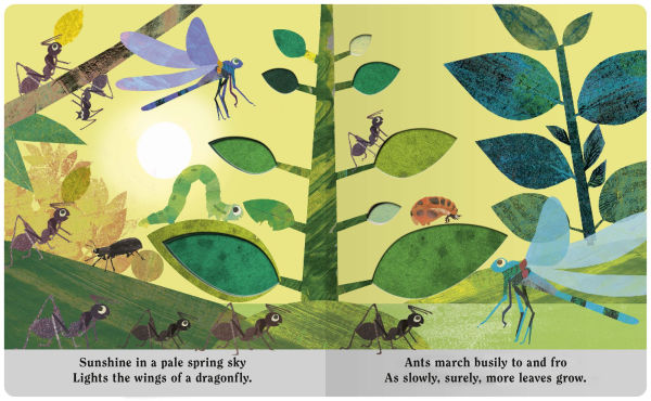 Bugs: A Peek-Through Board Book