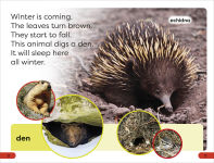 Alternative view 5 of DK Super Readers Pre-Level A Bed for the Winter