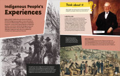 Alternative view 2 of DK Super History California Gold Rush