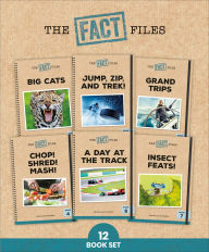 Title: Phonic Books The Fact Files 2: Consonant blends and digraphs, and alternative spellings for vowel sounds, Author: Phonic Books