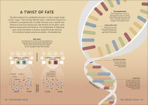 Alternative view 12 of Simply Genetics: Facts Made Fast