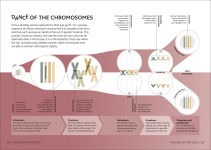 Alternative view 13 of Simply Genetics: Facts Made Fast