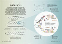 Alternative view 14 of Simply Genetics: Facts Made Fast