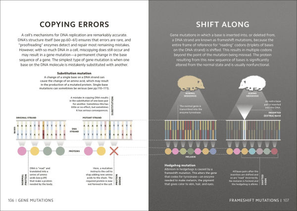 Simply Genetics: Facts Made Fast