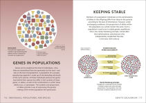 Alternative view 17 of Simply Genetics: Facts Made Fast
