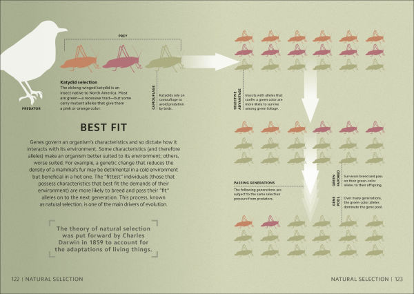 Simply Genetics: Facts Made Fast