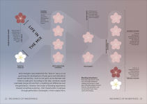 Alternative view 4 of Simply Genetics: Facts Made Fast