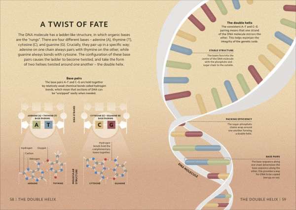 Simply Genetics: Facts Made Fast