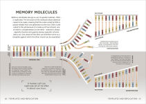 Alternative view 6 of Simply Genetics: Facts Made Fast
