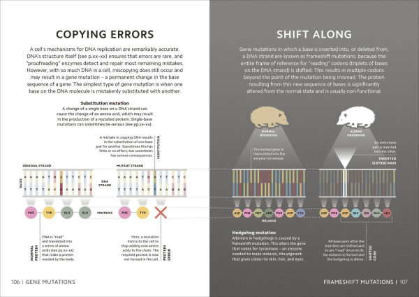 Simply Genetics: Facts Made Fast