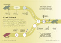 Alternative view 10 of Simply Genetics: Facts Made Fast