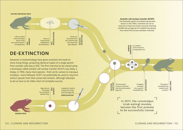 Simply Genetics: Facts Made Fast