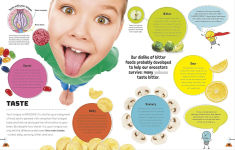 Alternative view 2 of Science You Can Eat: Putting What We Eat Under the Microscope