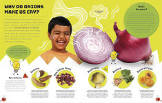 Alternative view 5 of Science You Can Eat: Putting What We Eat Under the Microscope