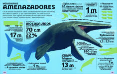 Alternative view 5 of El mundo en nÃºmeros: Dinosaurios (Our World in Numbers Dinosaurs)