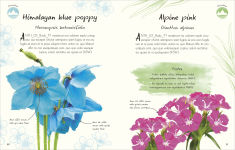 Alternative view 3 of An Anthology of Flowers: A Collection of Flowers from Gardens, Woodlands, Mountains and More