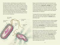Alternative view 5 of Project Penicillin: The Race to Develop a Life-Saving Antibiotic