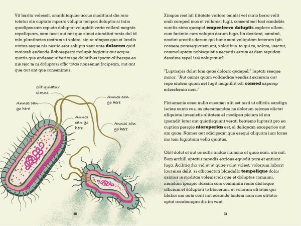 Project Penicillin: The Race to Develop a Life-Saving Antibiotic