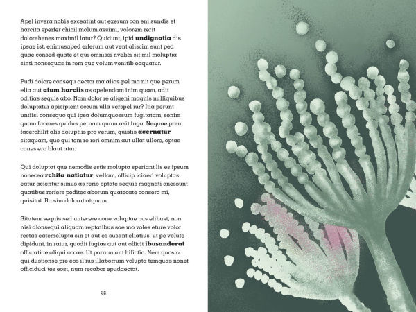 Project Penicillin: The Race to Develop a Life-Saving Antibiotic