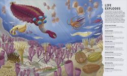 Alternative view 2 of Planet Earth: A 4.5 Billion Year Story