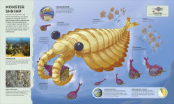 Alternative view 3 of Planet Earth: A 4.5 Billion Year Story
