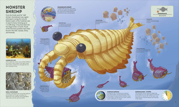 Planet Earth: A 4.5 Billion Year Story