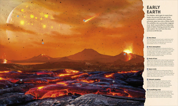 Planet Earth: A 4.5 Billion Year Story