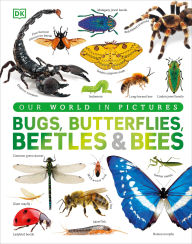 Title: Our World in Pictures Bugs, Butterflies, Beetles and Bees, Author: DK