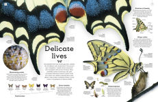 Alternative view 3 of Shapes of Nature: A Kaleidoscope of the Natural World