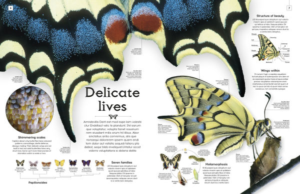 Shapes of Nature: A Kaleidoscope of the Natural World