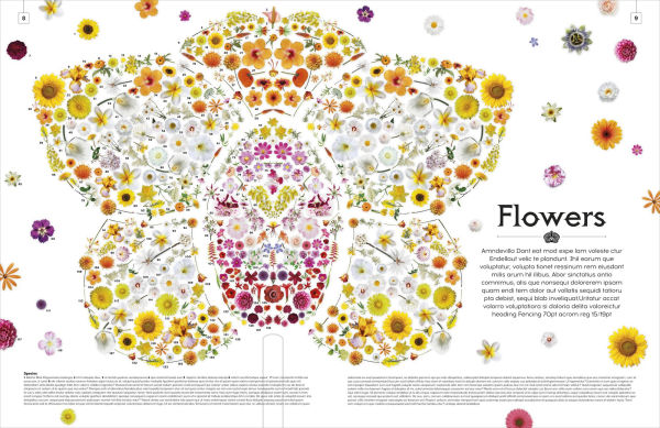 Shapes of Nature: A Kaleidoscope of the Natural World