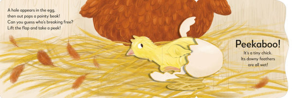 Pop-up Peekaboo! Chick