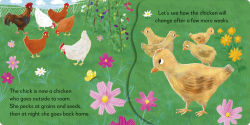 Alternative view 8 of Pop-up Peekaboo! Chick