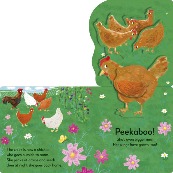 Pop-up Peekaboo! Chick