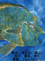飛ぶ、浮かぶ、跳ぶ、泳ぐ、潜る、歩く Japanese Translation of Fly, Float, Leap, Swim, Dive, Walk