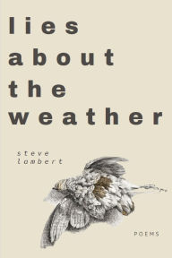 Title: lies about the weather, Author: Steve Lambert