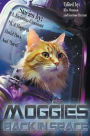 Moggies Back in Space