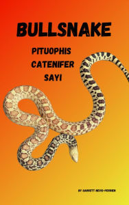 Title: Bullsnake- Pituophis Cantenifer Sayi, Author: Garrett Nevis-Perrien