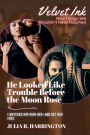 He Looked Like Trouble Before the Moon Rose: I Watched Him Ruin Her-and Set Her Free