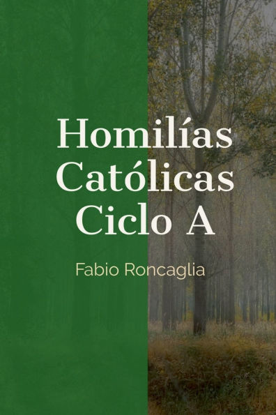 Homilï¿½as Catï¿½licas Ciclo A
