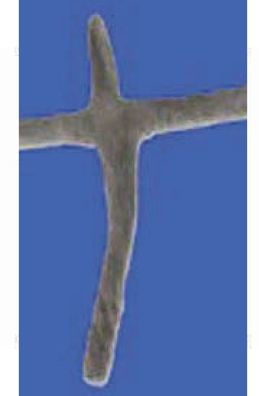 The Anointing of Belief: The Shroud of Turin:The arduous journey to crucifixion