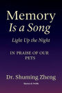 Memory Is a Song: Light Up the Night: