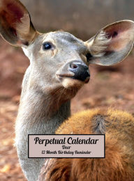 Title: Cute Deer Perpetual Calendar 12 Month 2 Year Birthday Reminder: Hardcover Monthly Daily Desk Diary Organizer for Birthdays, Anniversaries, Important Dates, Special Days and Times, Author: Blissful Euphoria Decoria
