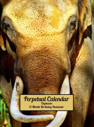 Title: Elephants Perpetual Calendar 12 Month 2 Year Birthday Reminder: Hardcover Monthly Daily Desk Diary Organizer for Birthdays, Anniversaries, Important Dates, Special Days, Times - Dates, Author: Blissful Euphoria Decoria