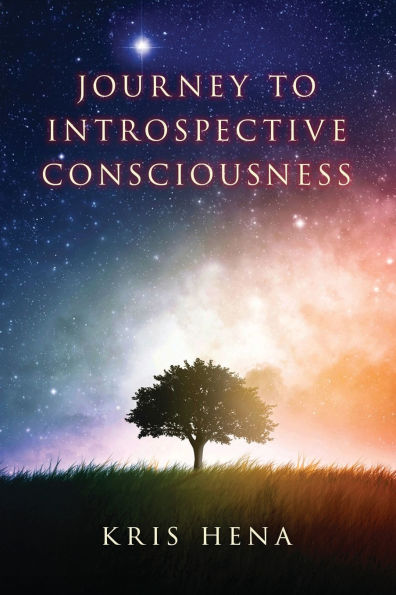 Journey to Introspective Consciousness