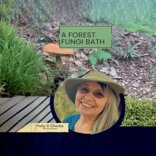 A forest fungi bath