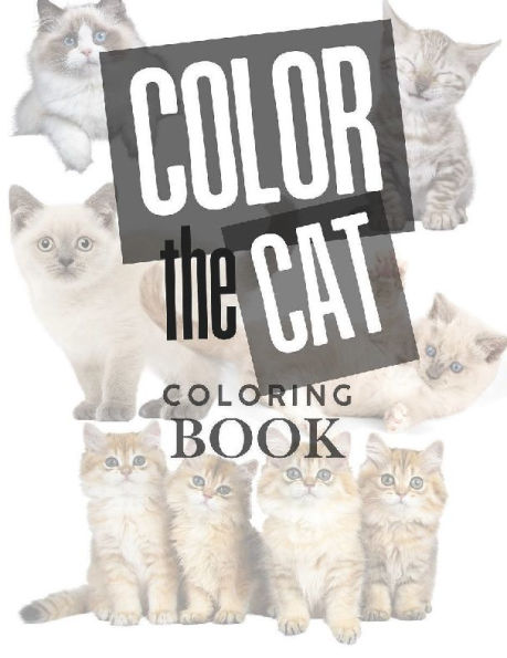 Color the Cat Coloring Book